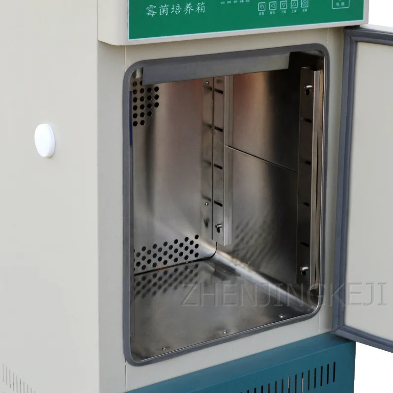 

Mold Bacterial Incubator Microorganism Constant Temperature Efficient Precision Temperature Control Stainless Steel Incubator