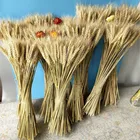 Настоящая Пшеница цветок уха украшение натуральные пампасы кроличьи хвосты трава сушеные цветы для свадебной вечеринки Сделай Сам крафтовый букет для скрапбукинга