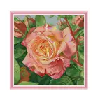 Joy Sunday Набор для вышивания крестиком, Набор для вышивания крестиком DMC Aida, напечатанная на холсте, Декор для дома