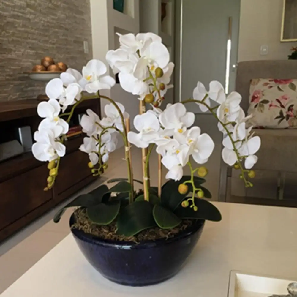 

INDIGO- Phalaenopsis Butterfly White Orchid Real Touch Artificial Flower Office Wedding Moth Orchid Floral Party Interior Trim