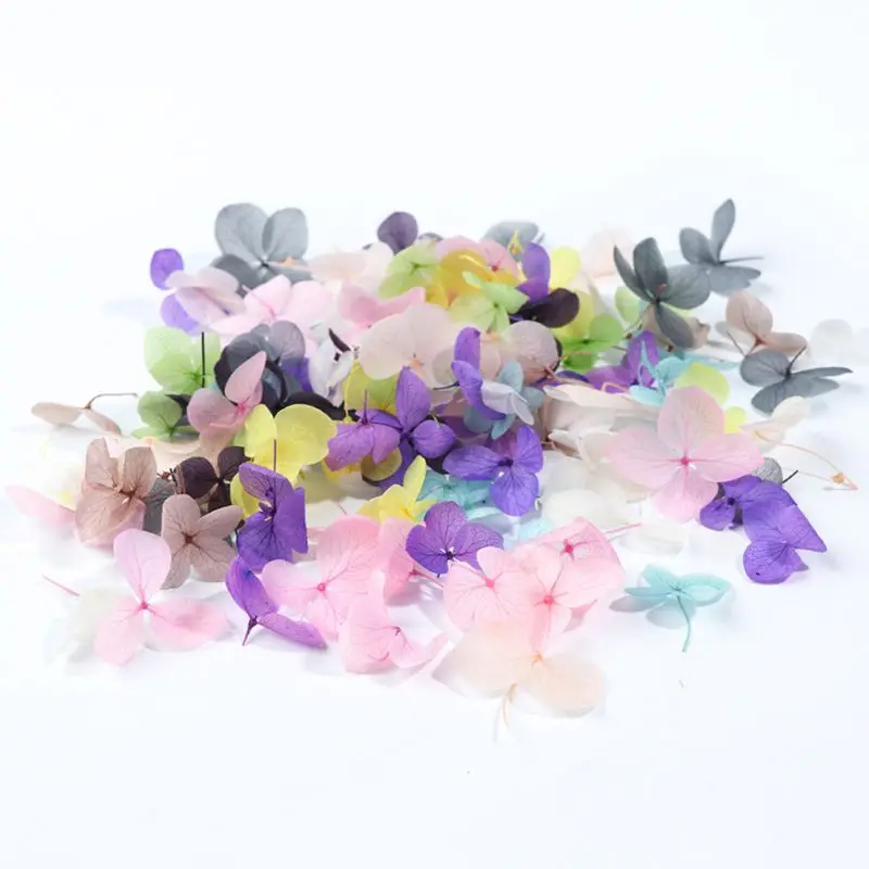 

DIY Nail Art Filler Popular Dry Eternal Flowers Beauty Nails Large Applique Decorative Jewelry Crafts Making Epoxy Filling