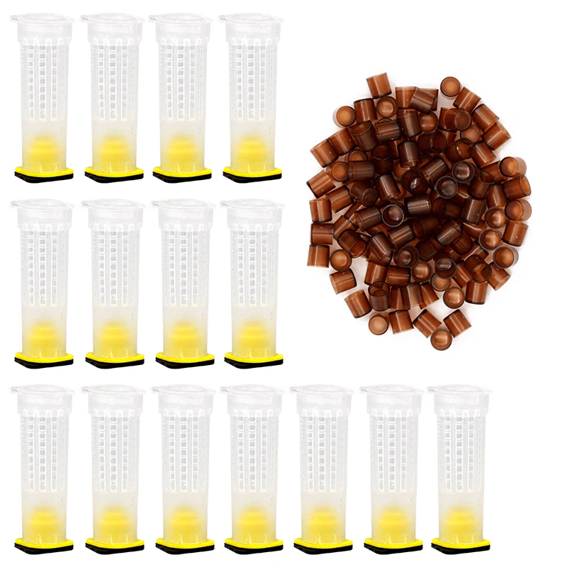 

Набор инструментов для пчеловодства