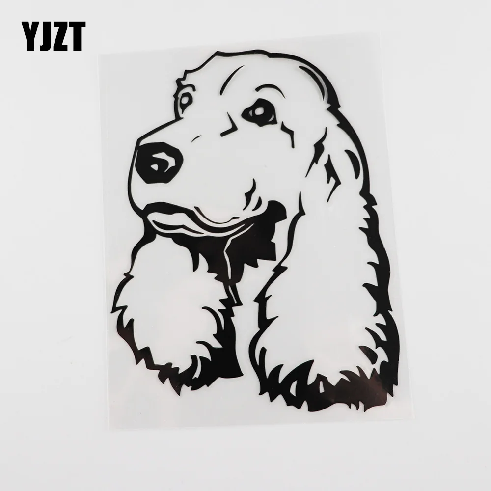 

YJZT, 11,4 x 14,6 , , / , 8A-0020