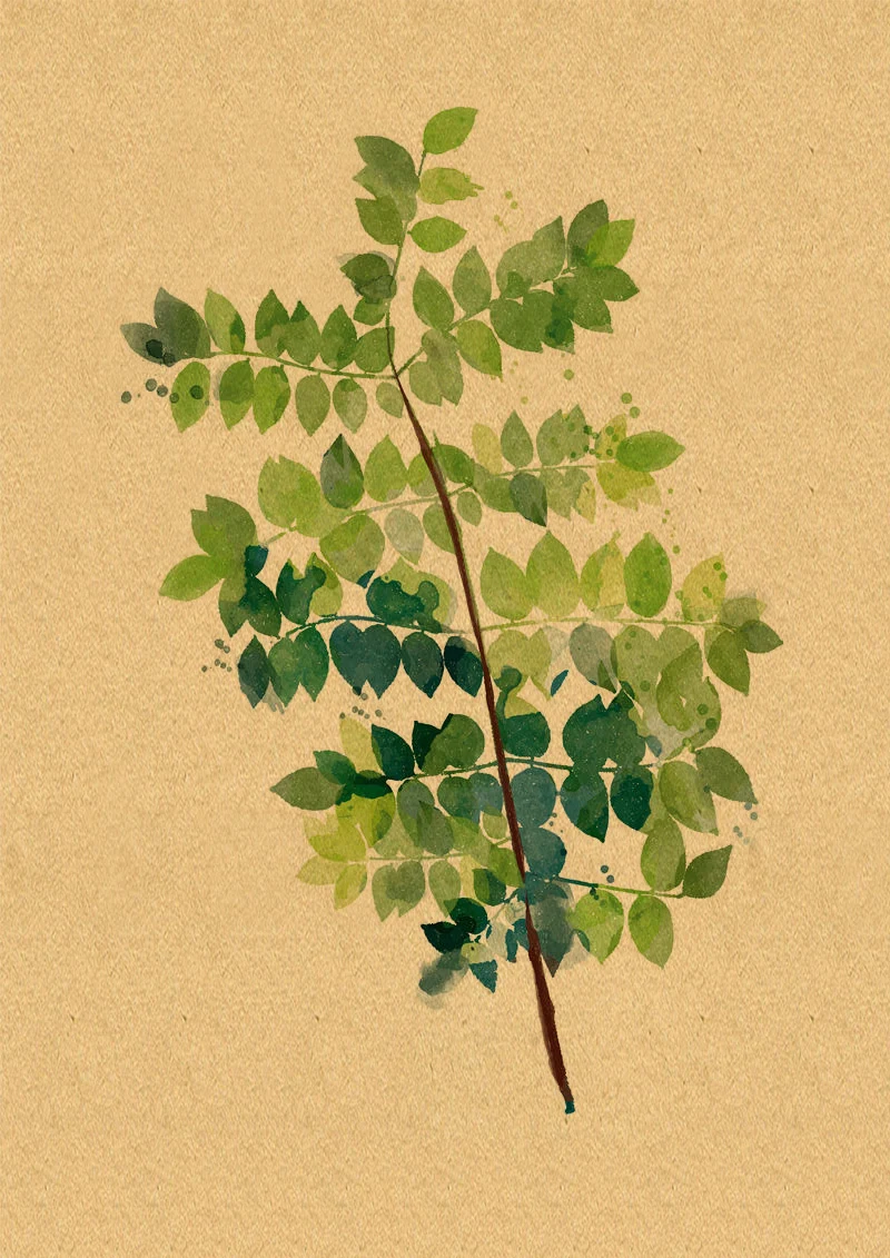 Скандинавские картины с листьями растений WTQ декоративные листы Картина на