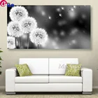 5D алмазная живопись сделай сам, пушистый Одуванчик в черном и белом цвете, полностью Алмазная мозаика, вышивка, картина стразы, домашний декор