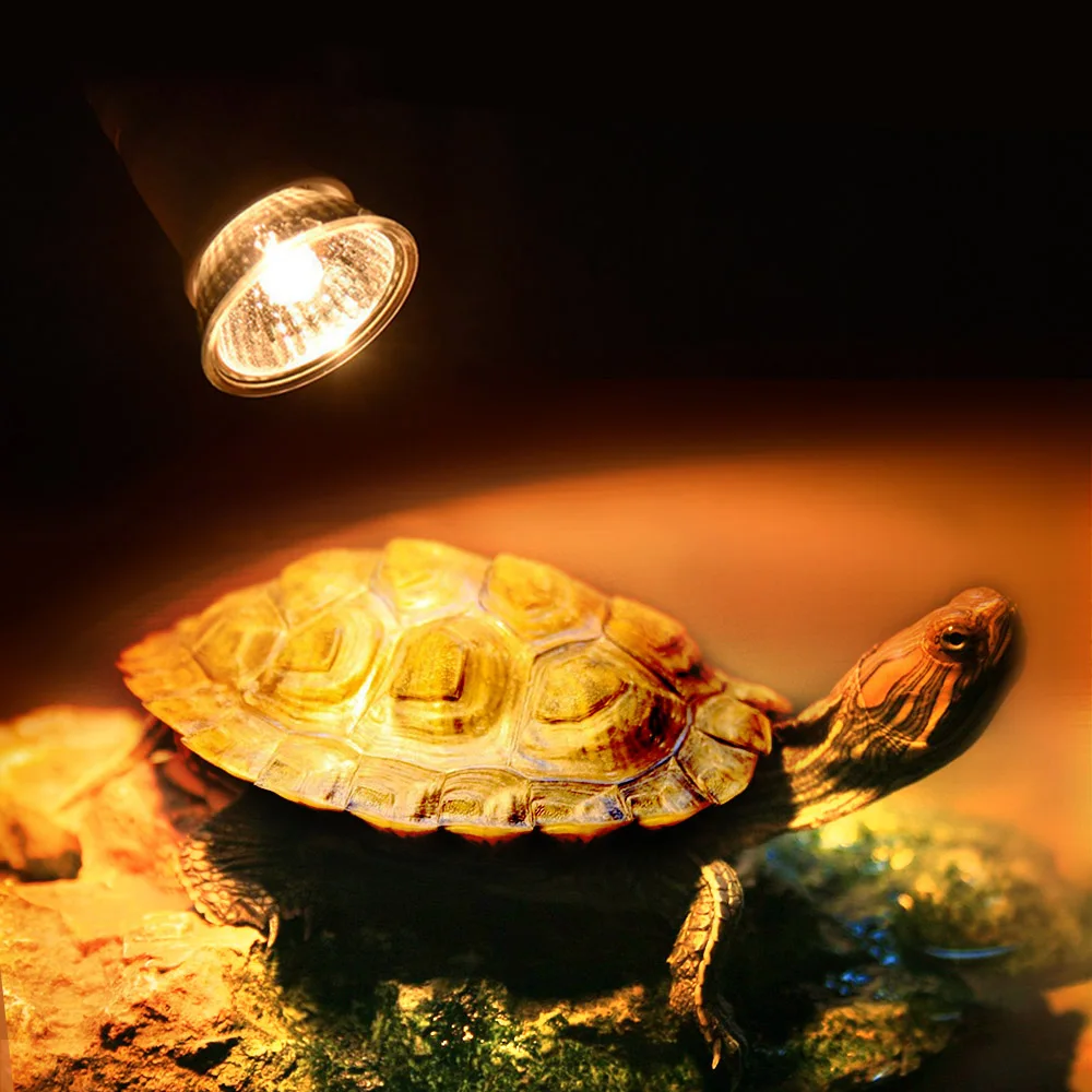 

25/50/75 Вт UVA/UVB и 3,0 лампа для рептилий UV светильник амфибии ящерицы Температура контроллер Mini Pet тепла лампы черепаха лампа накаливания