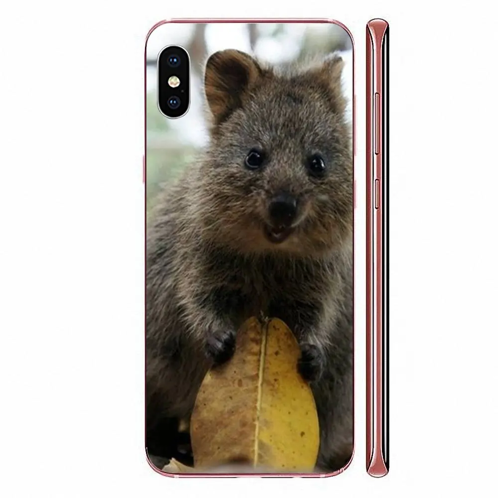 Мягкий чехол для телефона из ТПУ с изображением животных Quokka Xiaomi CC9E Mi3 Mi4 Mi4i Mi5 Mi 5S 6