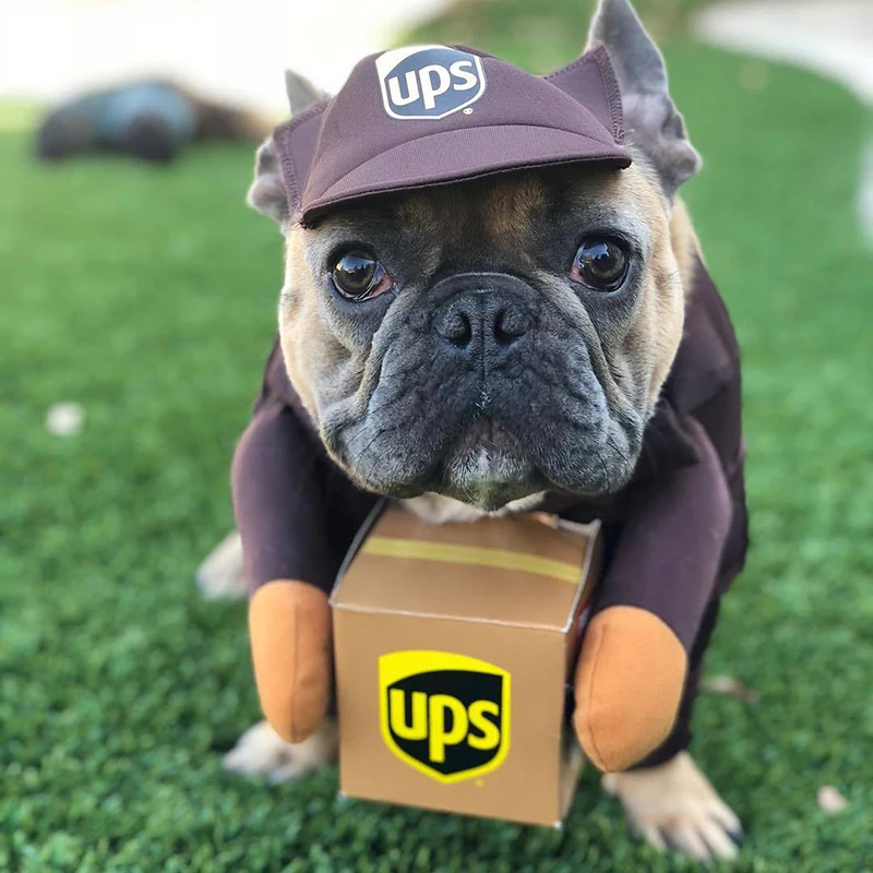 Коллекция костюмов UPS Pal одежда для больших собак Disfraz De Dog Хэллоуина вечерние