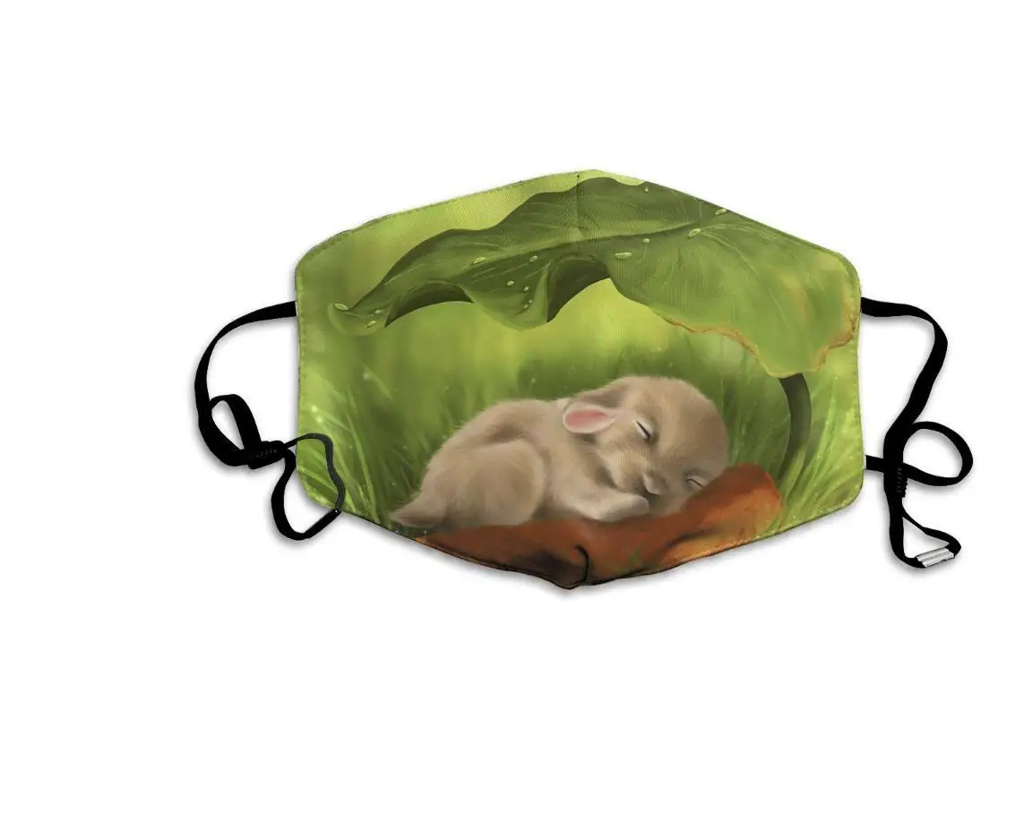 

Aesthetic Cute Baby Bunny Printed Mouth Covering Washable Reusable Fabric Face Mask with Filter
