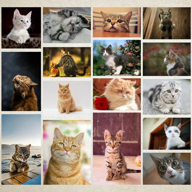 

Diy Diamond Decoration Painting Animal Chinese Pastoral Cat Square Diamond Round Diamond Customizable Wall Art Decoration