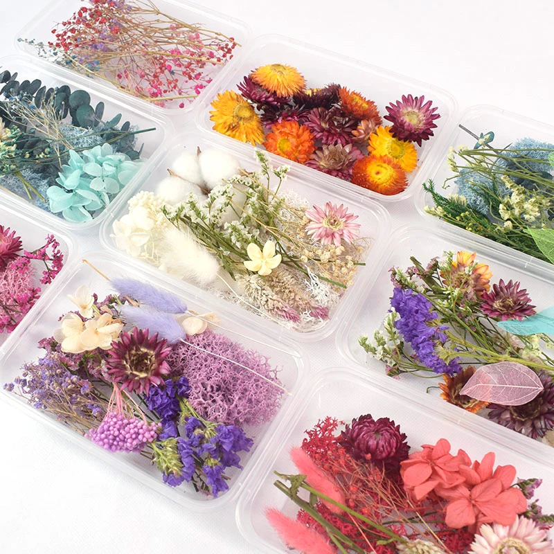 

1 Box Reale Getrocknete Blume Trockenen Pflanzen Fr Aromatherapie Kerze Epoxy Harz Anhnger Halskette Schmuck Machen Handwerk DIY