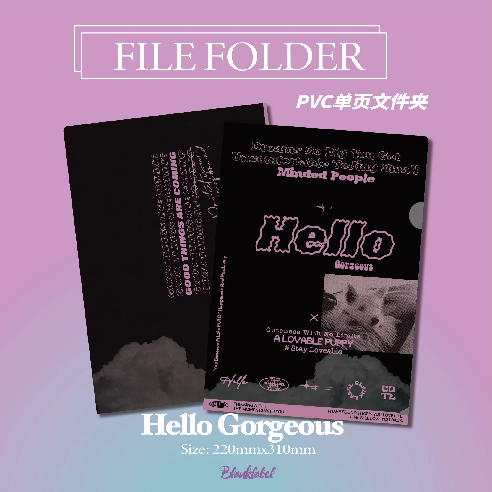 Ретро постер стиль INS девчачье ПВХ утолщенный L-тип A4 одностраничная папка