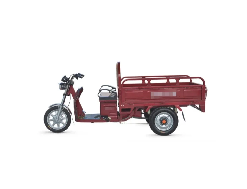 3 колеса взрослый Электрический грузовой трицикл тук Автомобильный велосипед