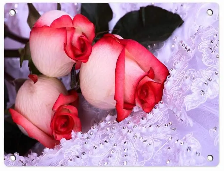 

Crysss Red and White Three Roses On Lace with Stones Humor Funny Metal Sign Wall Decor