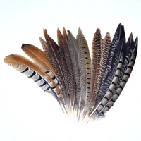 10pcslot natural pheasant feathers for needlework 15 20cm small crafts feather decor plumes handicraft accessories decoration
