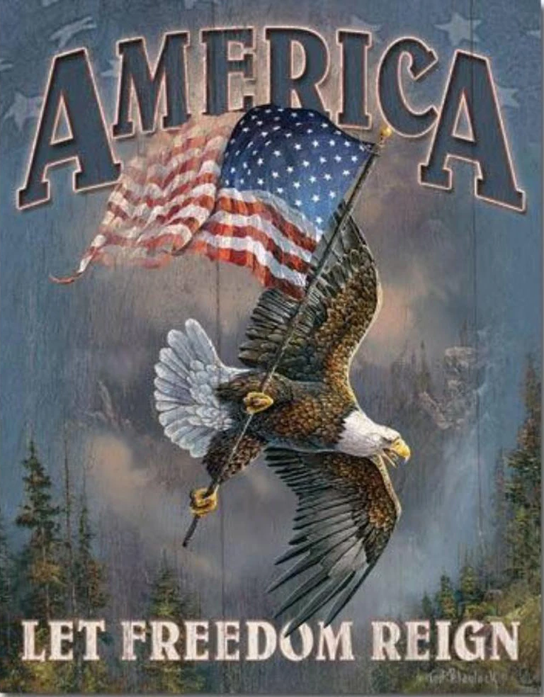 Алмазная живопись JMINE Div Набор для вышивки крестом с изображением американского