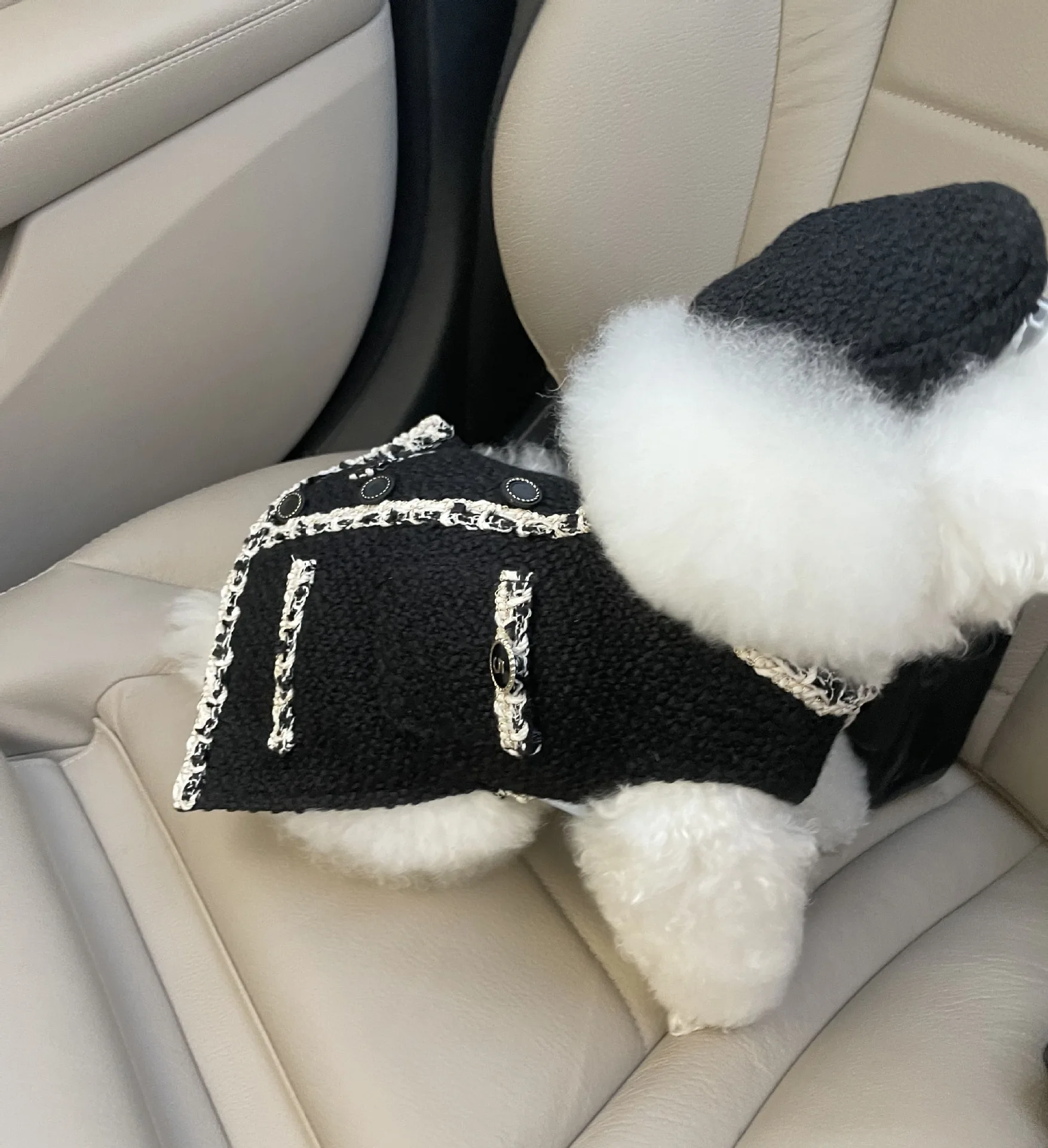 Одежда для домашних животных с мелким запахом