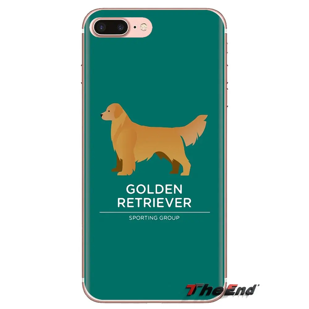 Подходит для породы золотистый ретривер со вставкой-дог мягкий прозрачный