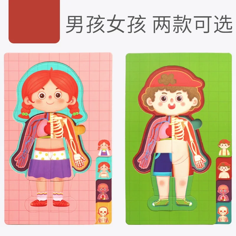 1 шт. игрушка-пазл в виде бумажного тела | Игрушки и хобби