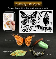 montessori ladybugbutterflychickenfrog life cycle drawing stencilsanimals models figurine teaching educational toys for kids