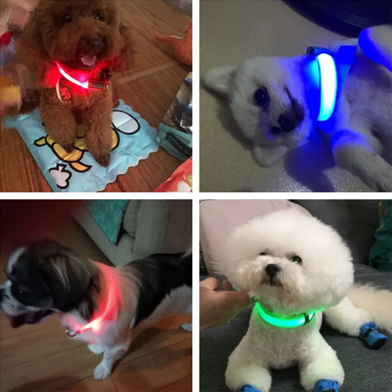 USB Charging Led Dog Collar Anti-Lost Luminous Flashing Necklace Cat Light Outdoor Walking Night Safety Pet Supplies | Дом и сад