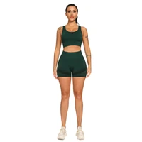 women two piece set seamless yoga set gym clothing workout sportswear bubble buttocks seamless leggings fitness sport crop top