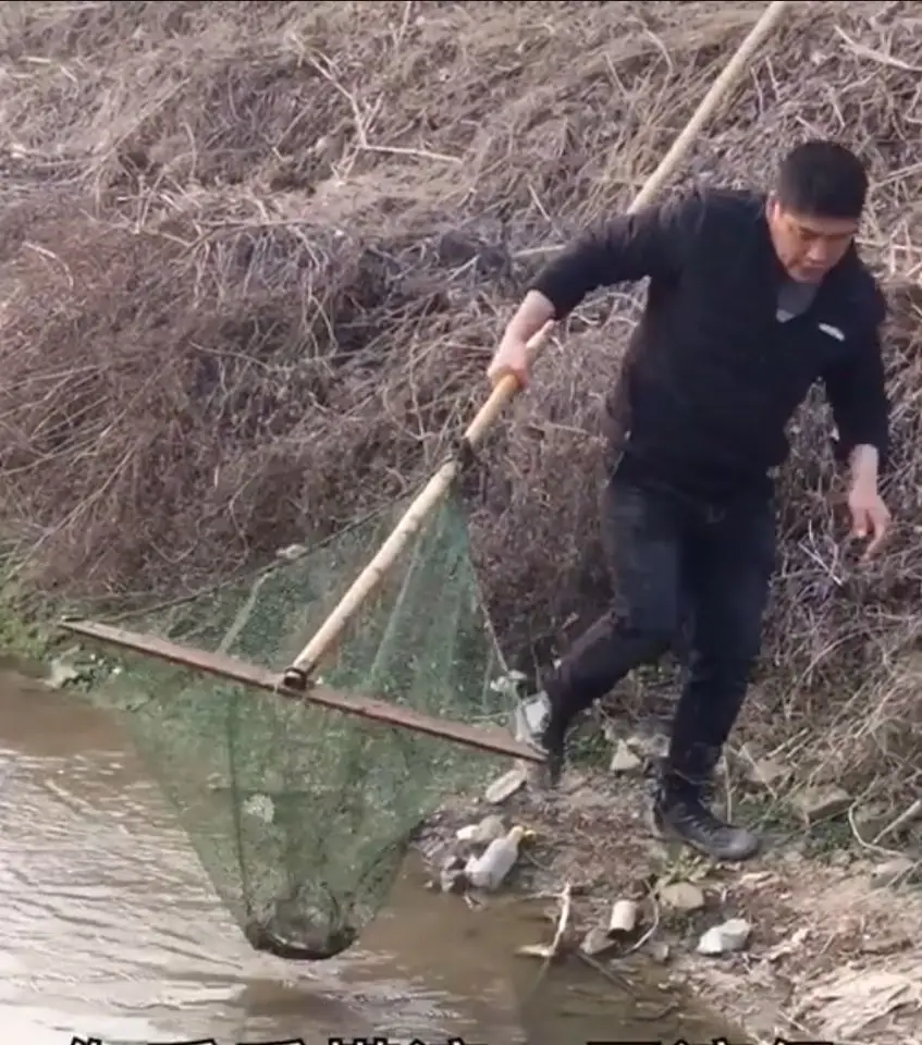 Рыболовная сеть Складная с насадкой прочная треугольная рыболовная для креветок