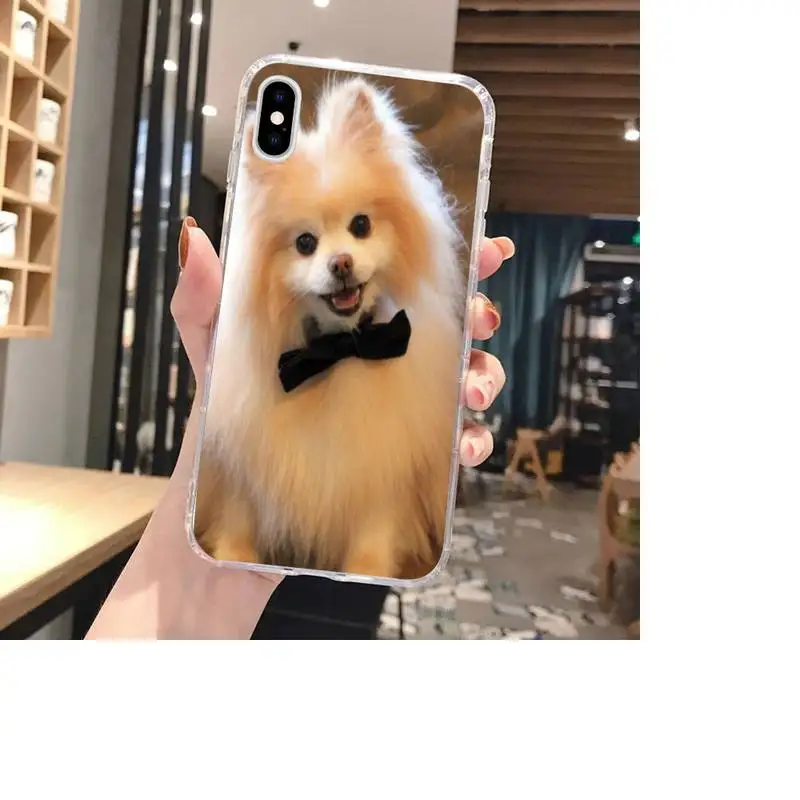 

Yinuoda Pomeranian dogs dog Colorful Cute Phone Case For Clear-Iphone 5 5s se 6 6s 7 8 11 12 X Xs Xr Pro Plus Max Mini Cover
