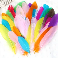 50 pcsset natural colorful diy feather craft toys creative natural animal feather manual diy material decoration toys for kids