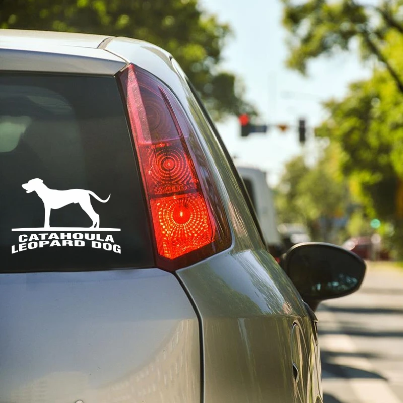 Будет стикер CATAHOULA Леопардовый на машину с собакой персональный винил JDM наклейка