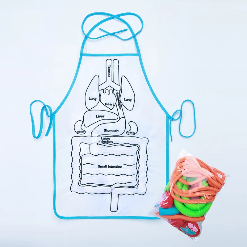 

'The Best' Montessori Early Education Children Three-Dimensional Simulated Organ Apron Science Physiological Education 3D Apron