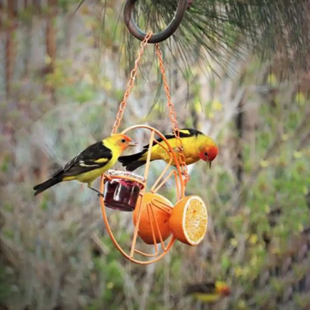 

40% Hot Sales!!! Round Metal Hummingbird Feeder Outdoor Garden Hanging Bird Water Fruit Dispenser