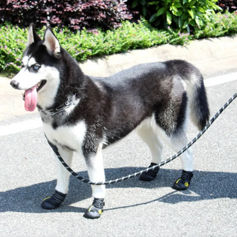 

Dog Leash Reflective Rope Srong Walking Big Dog Collar Strengthen Traction Harness Dog Lead for Medium Large Dog Pet Supplies