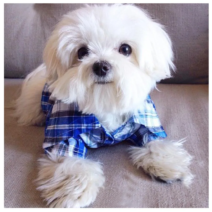 Алмазная живопись сделай сам вышивка крестиком полноразмерная картина из