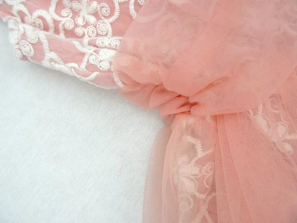 

2021 girl princess dress girl doll collar sleeves gauze dress children wear embroidered B Fower clothes children clothes