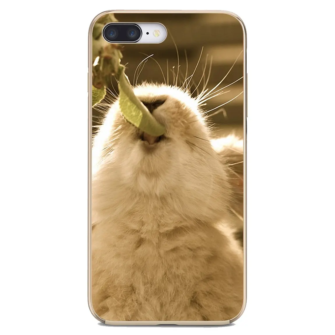 Rabbit Soft Case Covers For BQ Aquaris C U2 U V X2 X Lite Pro Plus M E4.5 X5 E5 4G 2017 S 5059 6040L | Мобильные телефоны и