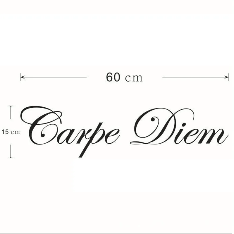 

Carpe Diem Wall Sticker Vinyl Character Home Decor Living Room Wall Decals DIY Bedroom Decorative Sticker