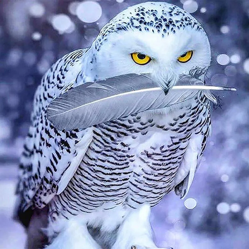 Алмазная картина Сова пейзаж вышивка крестиком пернатая DIY декоративные картины