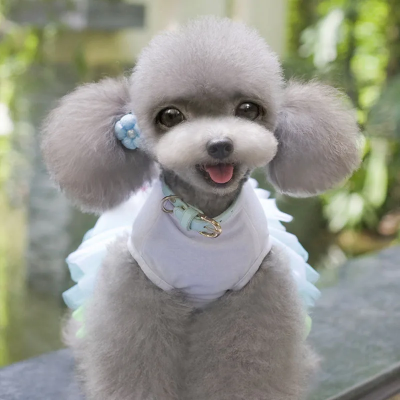 Юбка для питомца на весну/лето юбка собаки с сердечками и губами платье