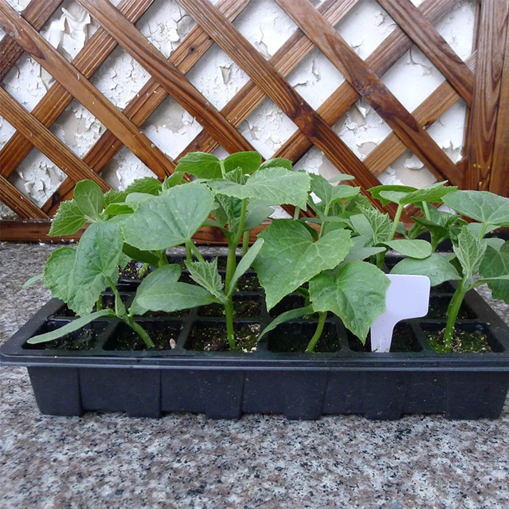 24 ячейки ванны для выращивания растений завод поддон проращивания детские