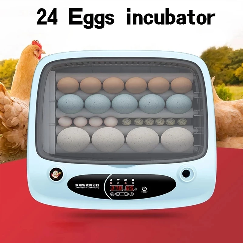 

Автоматический Брудер для 24 яиц, автоматический поворотный инкубатор для фермы, цифровой инкубатор для цыплят, перепелов, утки