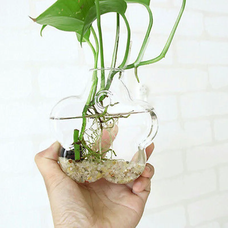 Прозрачные настенные Висячие стеклянные вазы для рыбы прозрачные дома сада