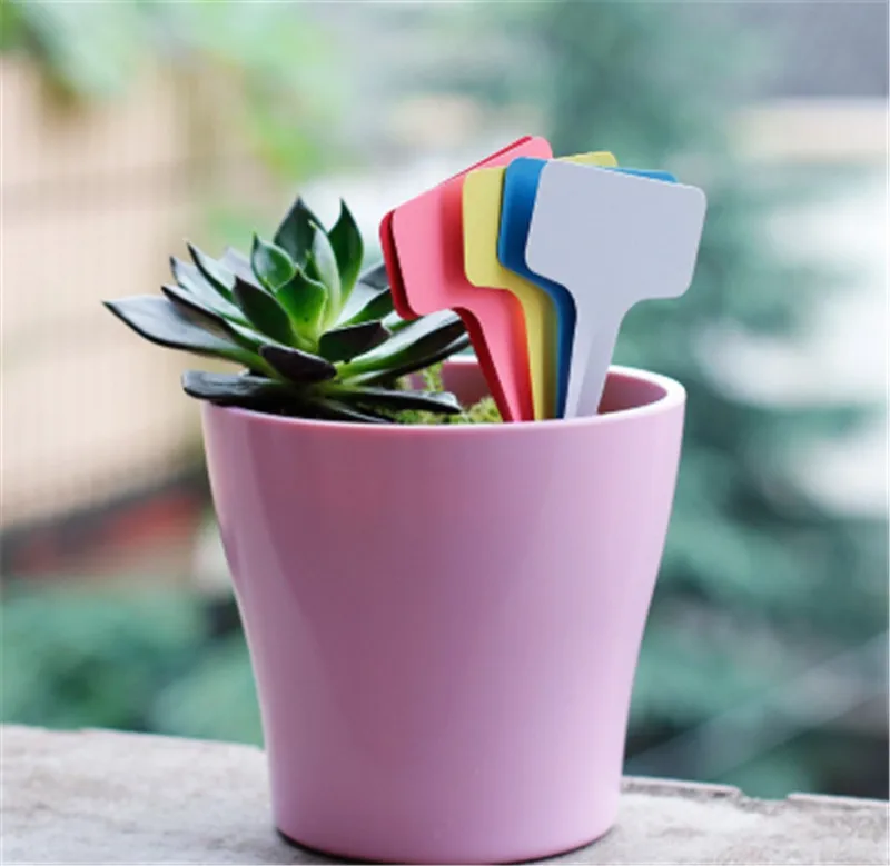 5 шт. список наклейки для садоводства пластиковые вставки завод этикетки наземные вставки знаки стерео метки Цветочные Т-этикетки