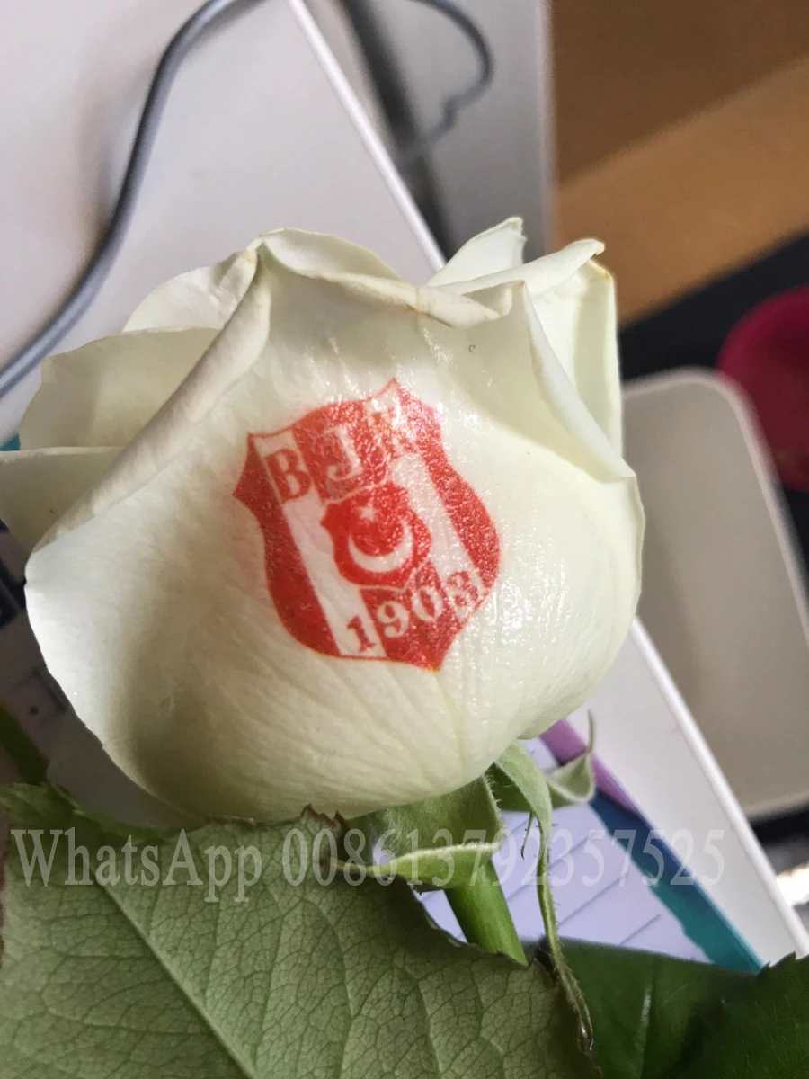 Самый лучший принтер ногтя
