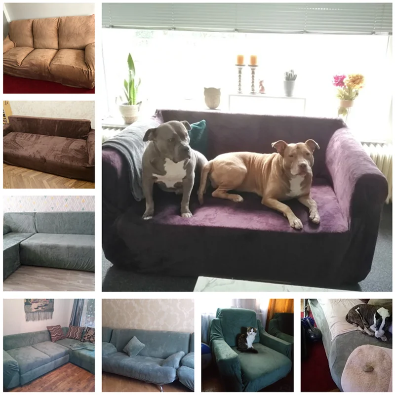 Чехол для дивана Современная цельная Цвет плюшевые эластичные диван крышку