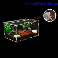 acrylic feeding box for spider reptile crawling crawler feeding with factory direct price
