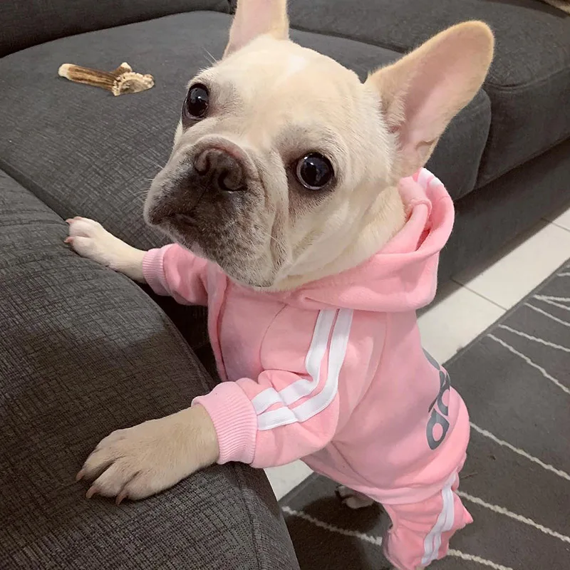 Adidog Pet Dog Jumpsuit for Small Medium Dogs Letter Print Dog Hoodie Designer French Bulldog Clothes Ropa Perro Coat Pet Outfit