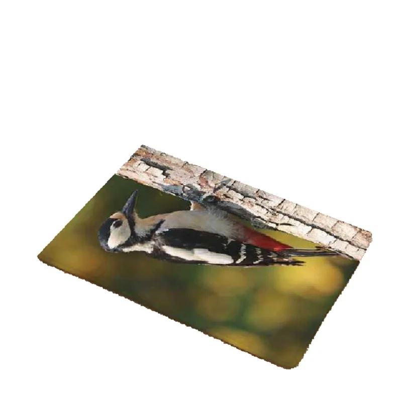 

CAMMITEVER Woodpecker Printing Doormat Flannel Home Decoration Non-slip Floor Mat Birds Door Mat