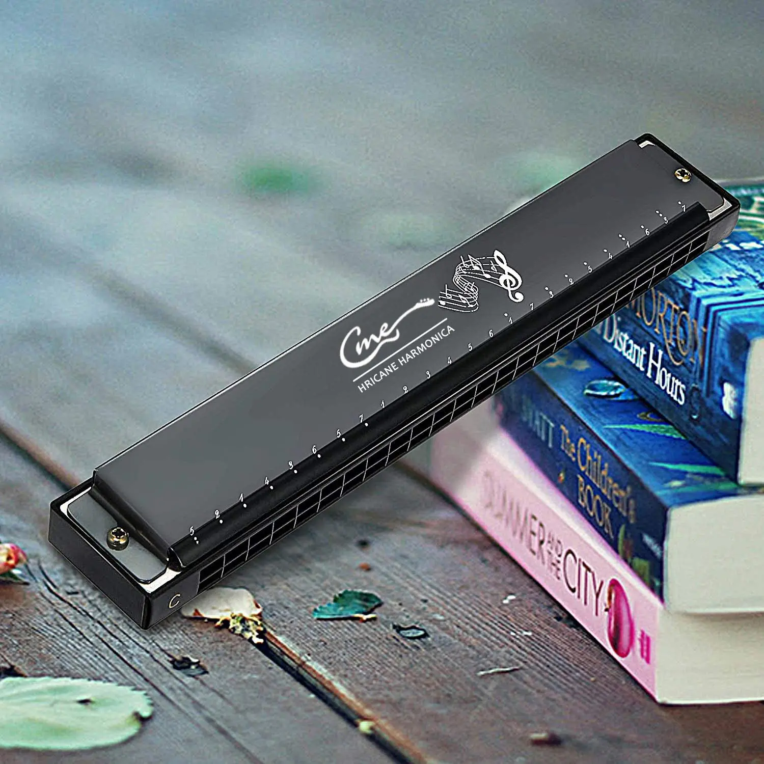 

Harmonica Key C 24 Hole, Professional Tremolo Harmonica for Beginners Adults & Kids Best Gift with Hard Case & Cloth