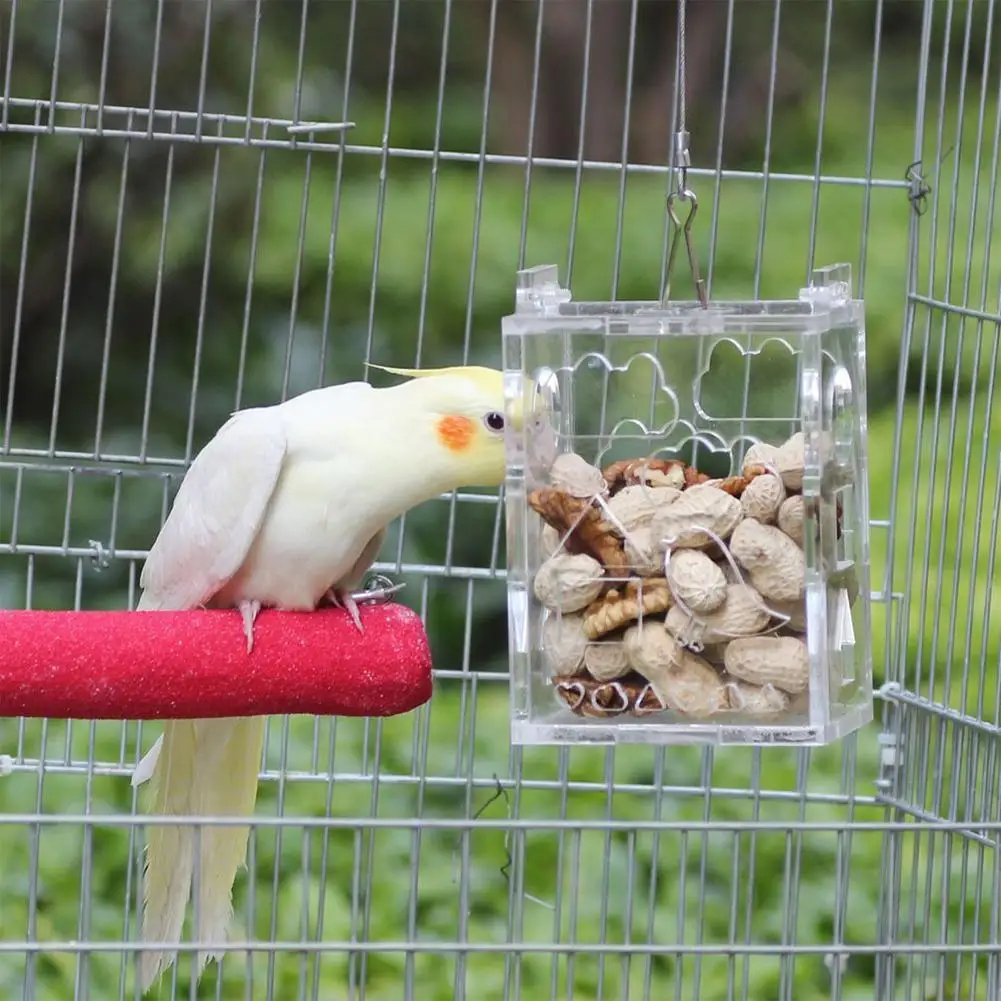 Прозрачная подвесная кормушка из акрила для попугая | Дом и сад